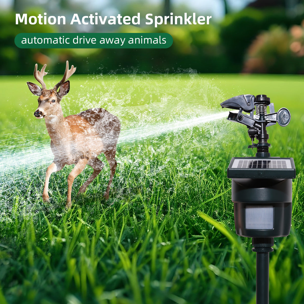 Motion Activated Sprinkler with Day & Night Detection Modes Water Jet Animal Repellent with Solar Panel Bird Heron Cat Repellent Garden Wild Animals for Yard#31012L