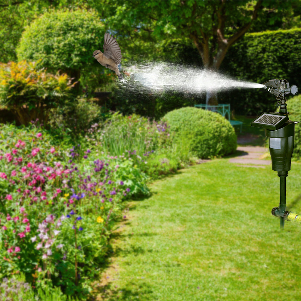 Solar Motion Eco-friendly Jet Spray Animal Repeller with Solar Panel Garden Pest Bird Control Repellent #31007 - Aqualin Official Store